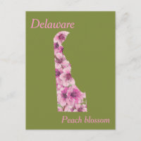 Delaware State Flower Collage Map