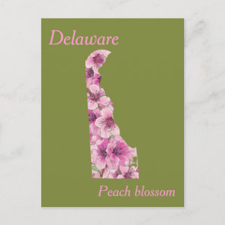Delaware State Flower Collage Map Postcard