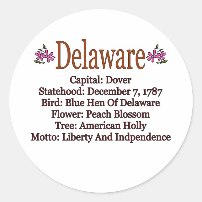 Delaware State Info Sticker (Front)