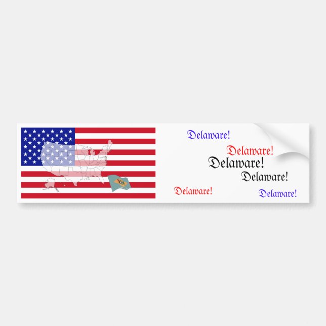 Delaware, USA Bumper Sticker (Front)