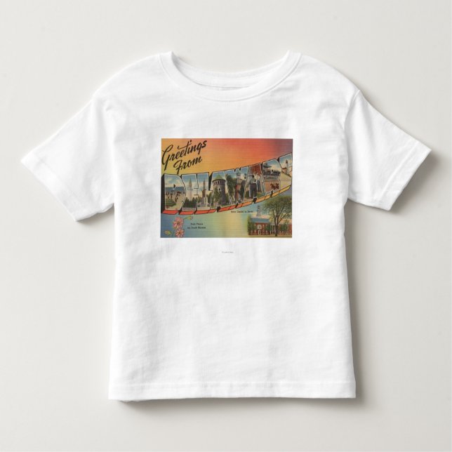 DelawareLarge Letter ScenesDelaware Toddler T-Shirt (Front)