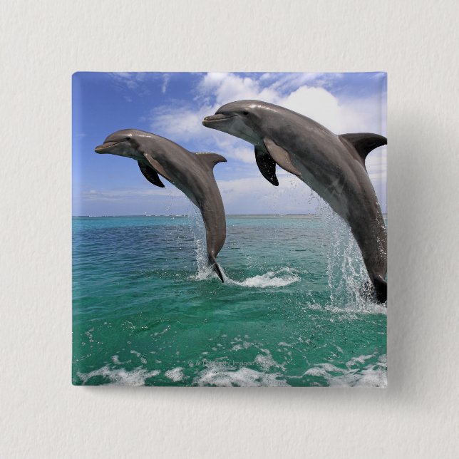 Delfin 15 Cm Square Badge (Front)