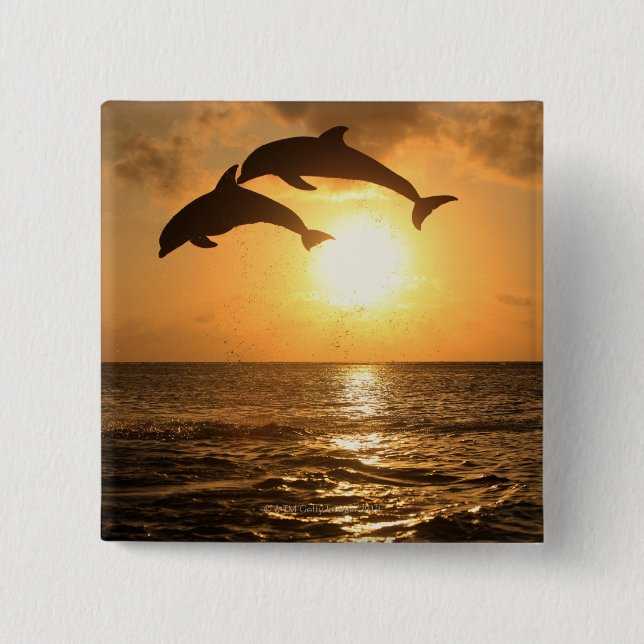 Delfin 3 15 cm square badge (Front)