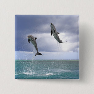 Delfin,Delphin,Grosser Tuemmler,Tursiops 2 15 Cm Square Badge