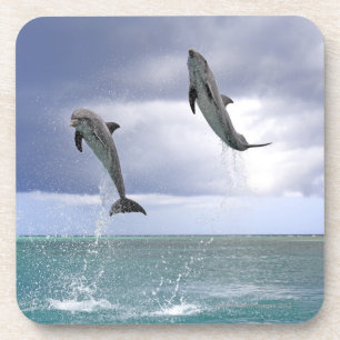 Delfin,Delphin,Grosser Tuemmler,Tursiops 2 Coaster