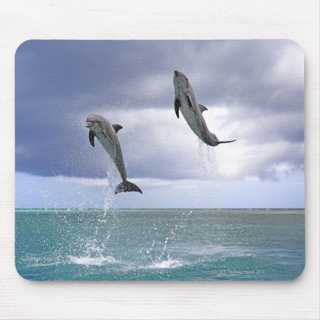 Delfin,Delphin,Grosser Tuemmler,Tursiops 2 Mouse Pad (Front)