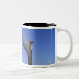 Delfin,Delphin,Grosser Tuemmler,Tursiops 3 Two-Tone Coffee Mug