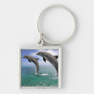 Delfin,Delphin,Grosser Tuemmler,Tursiops 4 Key Ring
