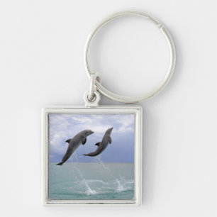 Delfin (Grosser Tuemmler) Key Ring