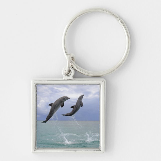 Delfin (Grosser Tuemmler) Key Ring (Front)