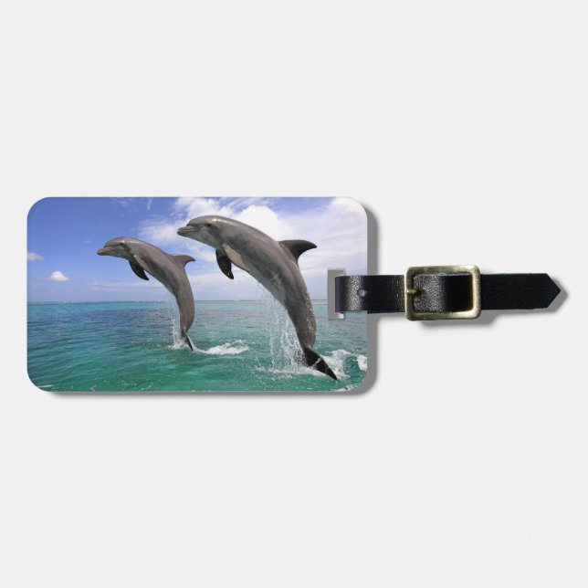 Delfin Luggage Tag (Front Horizontal)