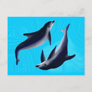 Delfine Postcard