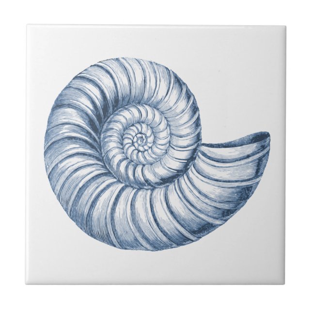 Delft Blue Nautilus Shell Nautical Beach House Ceramic Tile (Front)