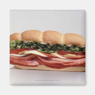 Deli sandwich magnet
