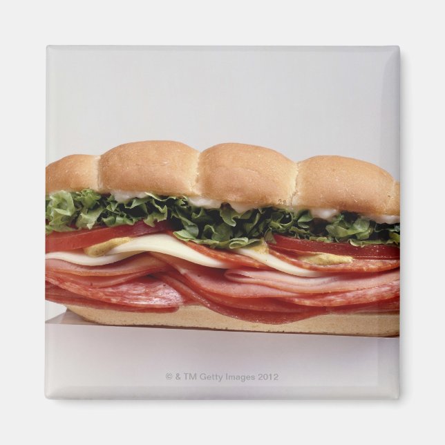 Deli sandwich magnet (Front)