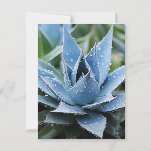Delicate Agave Botanical Photorealistic Digital Postcard