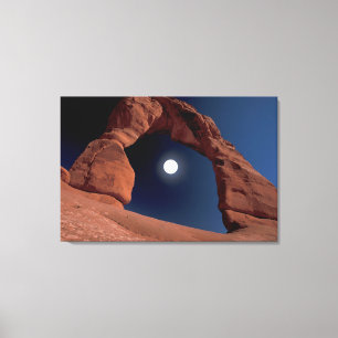 Delicate Arch Arches National Park Utah Canvas Print