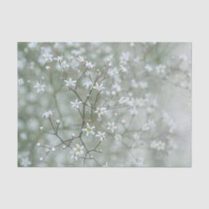 Delicate Baby's Breath Flower Botanical Photo Tissue Paper