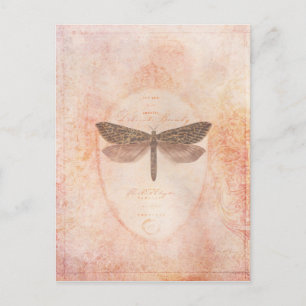 delicate beauty postcard