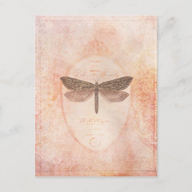 delicate beauty postcard (Front)