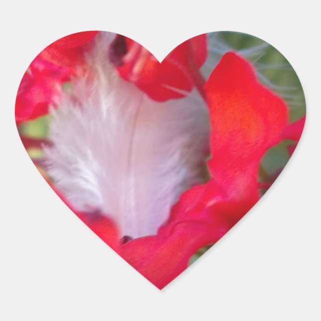 Delicate Beauty: Red Flower with White Feather Heart Sticker (Front)