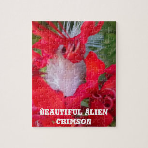 Delicate Beauty: Red Flower with White Feather Jigsaw Puzzle