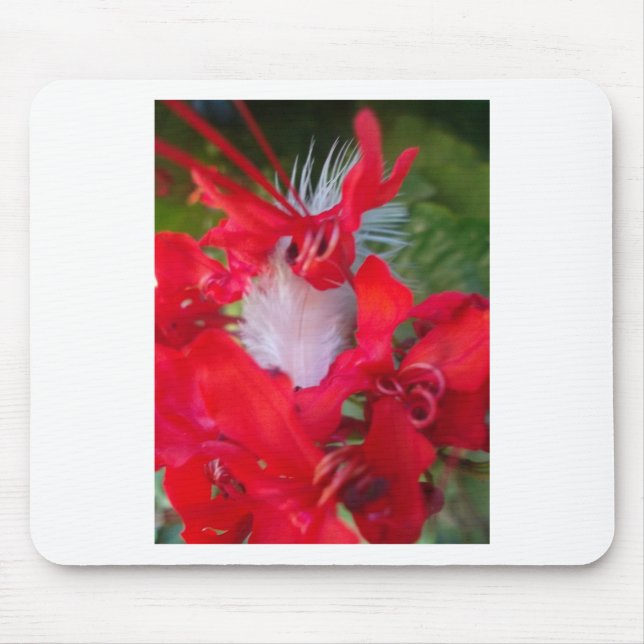 Delicate Beauty: Red Flower with White Feather Mouse Pad (Front)