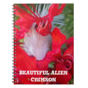 Delicate Beauty: Red Flower with White Feather Notebook
