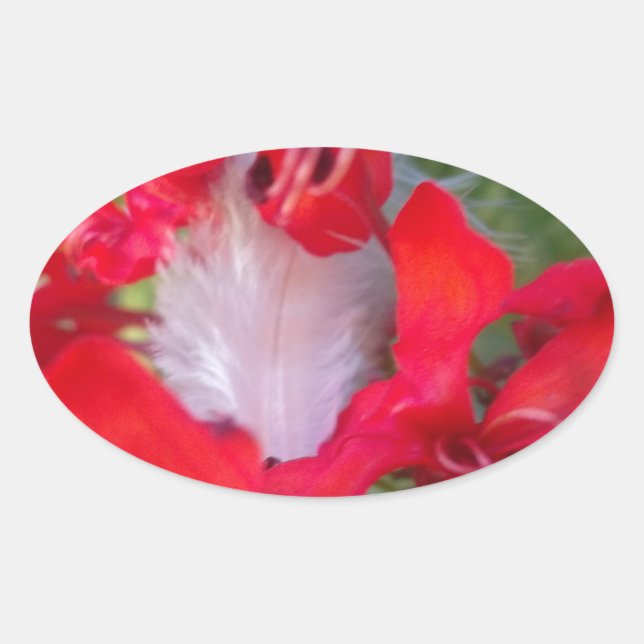 Delicate Beauty: Red Flower with White Feather Oval Sticker (Front)