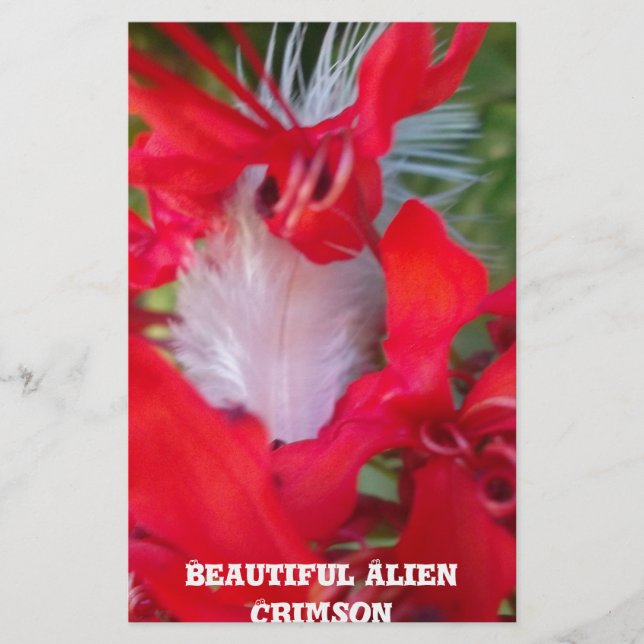Delicate Beauty: Red Flower with White Feather Stationery (Front)