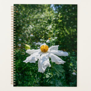 Delicate Bloom of Forest Light Planner
