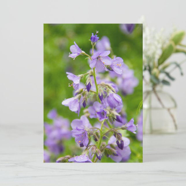 Delicate blue flowers on a green field in a spring (Standing Front)