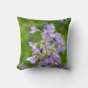 Delicate blue flowers on a green field in a spring cushion