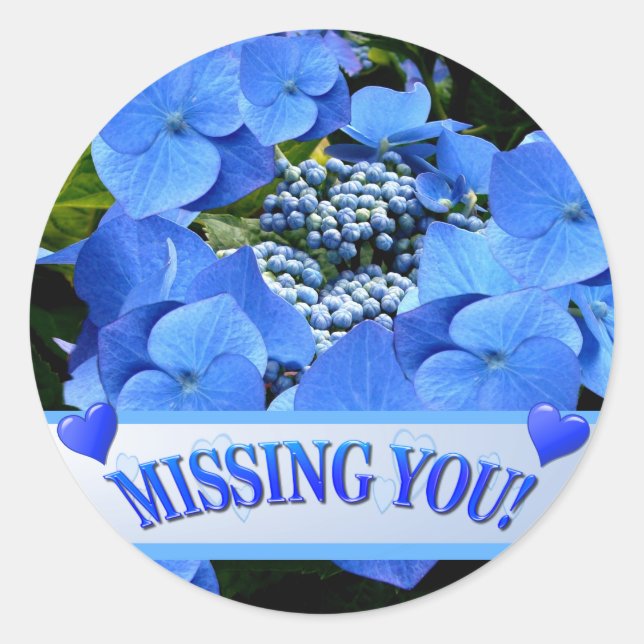 Delicate Blue Lacecap Hydrangea Classic Round Sticker (Front)