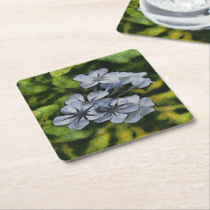 Delicate Blue Plumbago Blossom Painting Square Paper Coaster