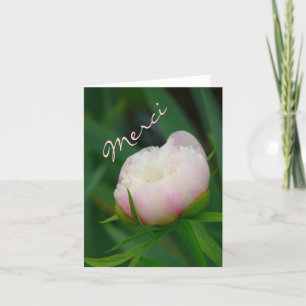 "DELICATE BLUSHING PEONY/ MERCI "NOTECARD THANK YOU CARD