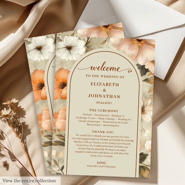 Delicate Boho Terracotta Beige Olive Sage Program (Delicate Boho Terracotta Beige Olive Program)