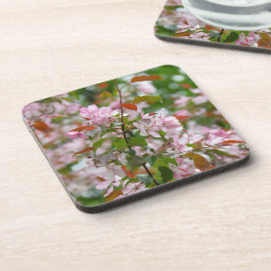 Delicate branch with flowers apple tree coaster