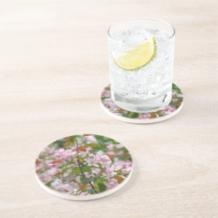 Delicate branch with flowers apple tree coaster