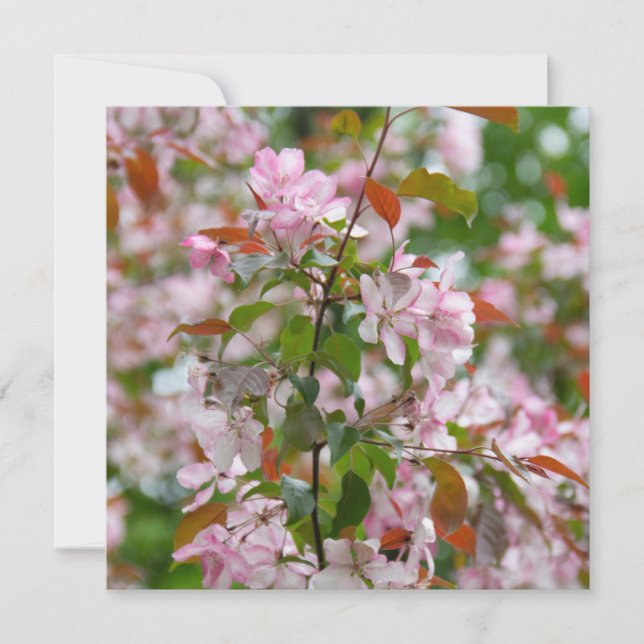 Delicate branch with flowers apple tree invitation (Front)
