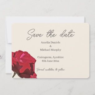 Delicate Butterfly Save The Date