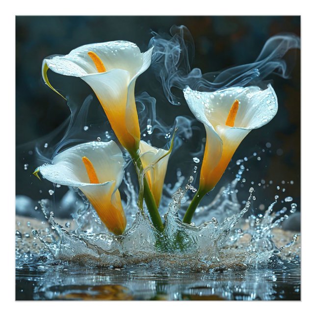 Delicate calla lilies photo print (Front)
