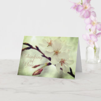 Delicate Cherry Blossoms Card
