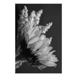 Delicate Contrast Photo Print