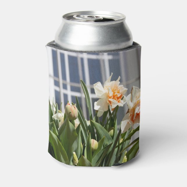 Delicate cute daffodils spring   can cooler (Can Back)