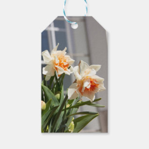 Delicate cute daffodils spring gift tags