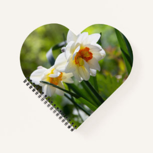 Delicate cute daffodils spring notebook