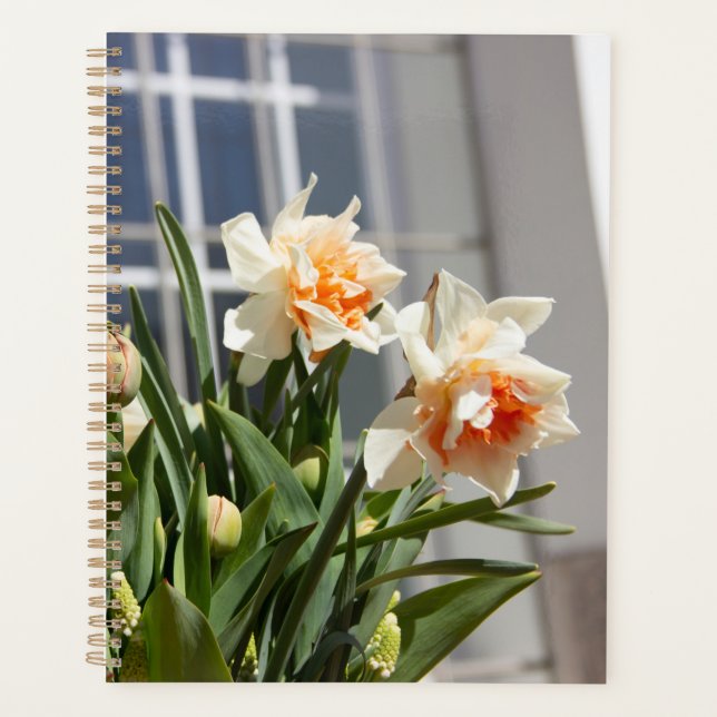 Delicate cute daffodils spring   planner (Front)