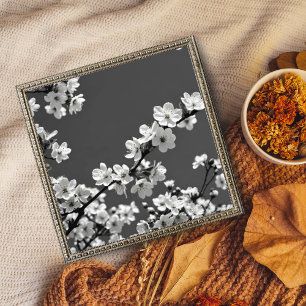 Delicate Dance: Cherry Blossoms in Black and White Photo Print