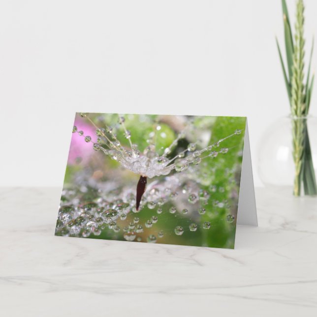 Delicate Dandelion Abstract Card (Front)